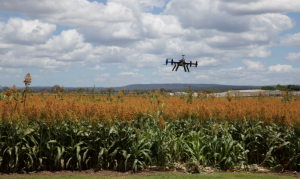 Positive Effect of Technology to Agriculture